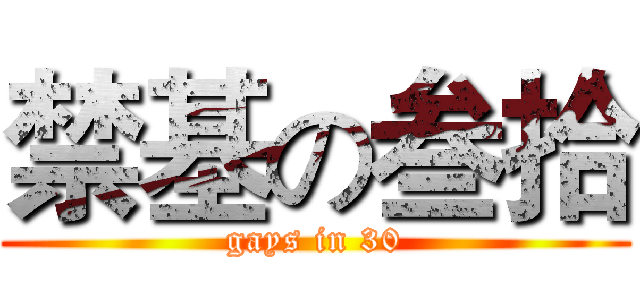 禁基の叁拾 (gays in 30)