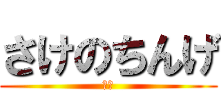 さけのちんげ (長い)