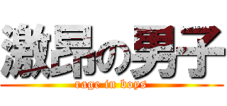 激昂の男子 (rage in boys)