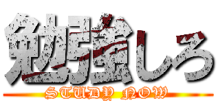 勉強しろ (STUDY NOW)