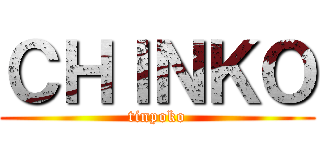 ＣＨＩＮＫＯ (tinpoko)