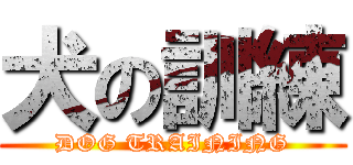 犬の訓練 (DOG TRAINING)