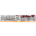 到哪里买植物毒 (到哪里买植物毒【电-186x2687x6963-Q278180069元-吉-药-业】我们做的是长期生意,靠的是老客户长期支持 http://sngk.net/WerknK
)