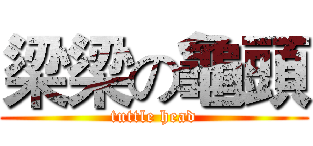 梁梁の龜頭 (tuttle head)