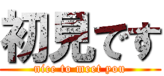 初見です (nice to meet you)