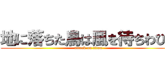 地に落ちた鳥は風を待ちわびる (attack on titan)