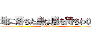 地に落ちた鳥は風を待ちわびる (attack on titan)