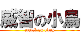 威智の小鳥 (attack on titan)