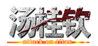 汤桂钦 (attack on titan)