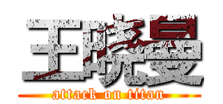 王晓曼 (attack on titan)