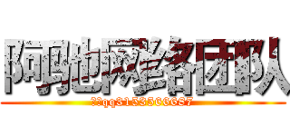 阿驰网络团队 (小驰qq3153566687)