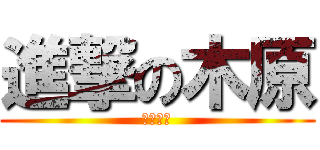進撃の木原 (木ィハラ)