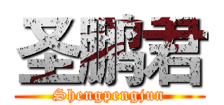 圣鹏君 (Shengpengjun)