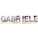 ＧＡＢＲＩＥＬＥ (18)