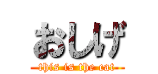 おしげ (this is the cat)