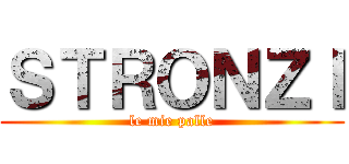 ＳＴＲＯＮＺＩ (le mie palle)