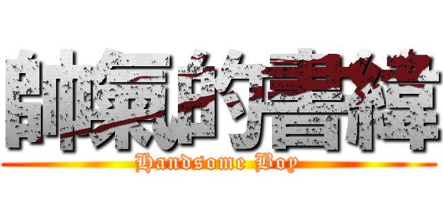 帥氣的書緯 (Handsome Boy)