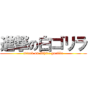 進撃の白ゴリラ (attack on White gorilla)