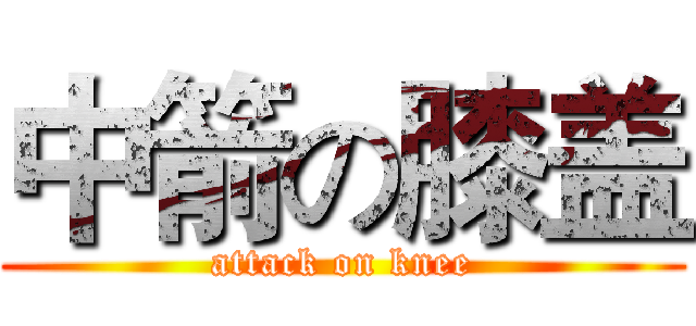 中箭の膝盖 (attack on knee)