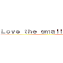 Ｌｏｖｅ ｔｈｅ ｓｍａｌｌ ｆａｍｉｌｙ ()