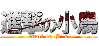 進撃の小鳥 (attack on  Bird)