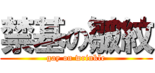 禁基の皺紋 (gay on wrinkle)