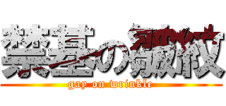 禁基の皺紋 (gay on wrinkle)