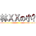 林ＸＸの小屌 ()