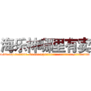 海乐神哪里有卖 (海乐神哪里有卖【电.话156x1318x7580-Q1991936399鑫宏药业】我们做的是长期生意,靠的是老客户长期支持
参考消息网2月20日报道 韩媒称，“剩女多、离婚率高的城市，房价一定会上涨。”这是中国经济学家金岩石2016年12月参加在上海举行的房地产相关论坛时说的话。
)