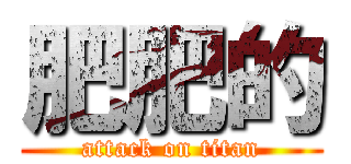 肥肥的 (attack on titan)