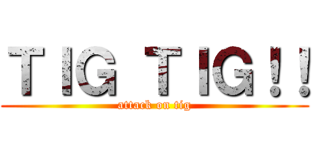 ＴＩＧ ＴＩＧ！！ (attack on tig)