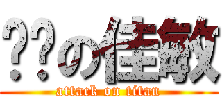 亚军の佳敏 (attack on titan)