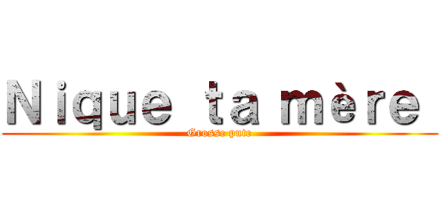 Ｎｉｑｕｅ ｔａ ｍèｒｅ  (Grosse pute)