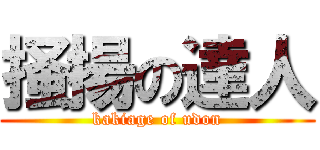 掻揚の達人 (kakiage of udon)