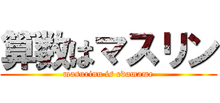 算数はマスリン (masurinn is edamame)
