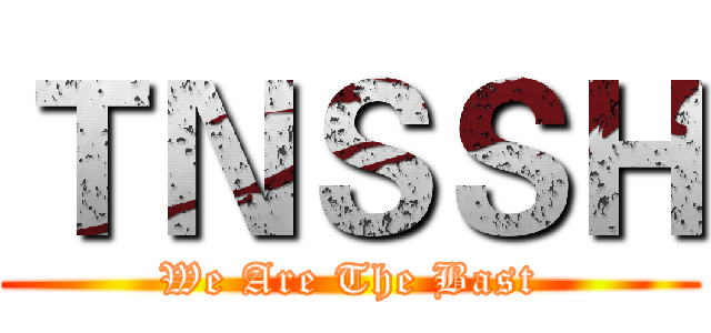 ＴＮＳＳＨ (We Are The Bast)