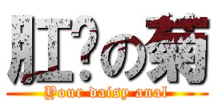 肛你の菊 (Your daisy anal)