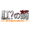 肛你の菊 (Your daisy anal)