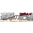 進撃の肥貓 (attack on titan)