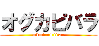 オグカピバラ (attack on titan)