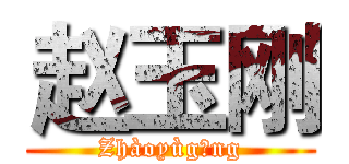 赵玉刚 (Zhàoyùgāng)