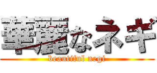 華麗なネギ (beautiful negi)