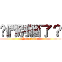 你們別腦了？ (You stupid?)