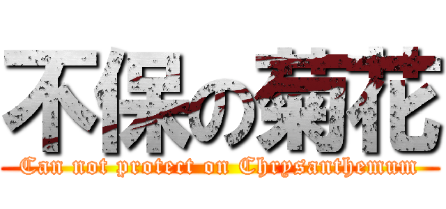 不保の菊花 (Can not protect on Chrysanthemum)
