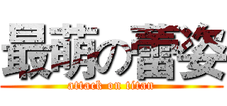 最萌の蕾姿 (attack on titan)