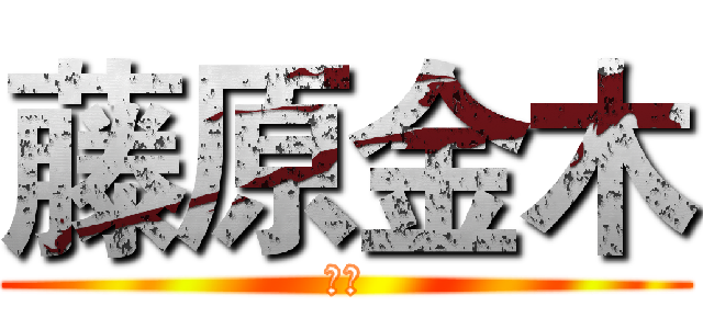 藤原金木 (藤原)