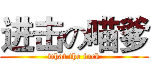 进击の喵爹 (what the fuck)