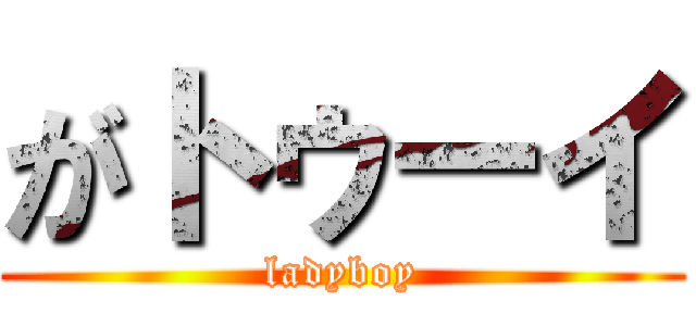 がトゥーイ (ladyboy)