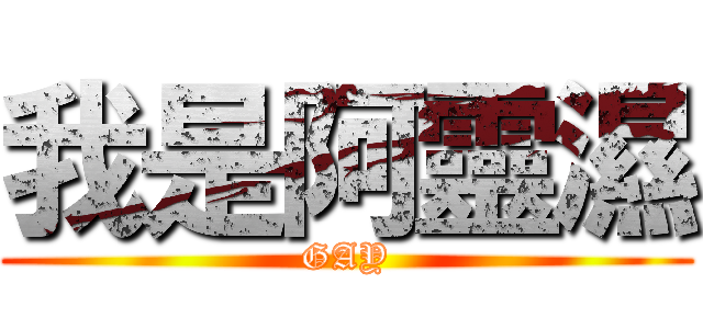 我是阿靈濕 (GAY)