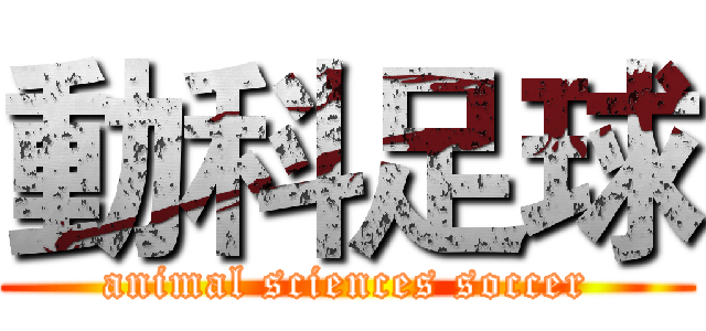 動科足球 (animal sciences soccer)